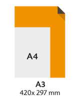 A3